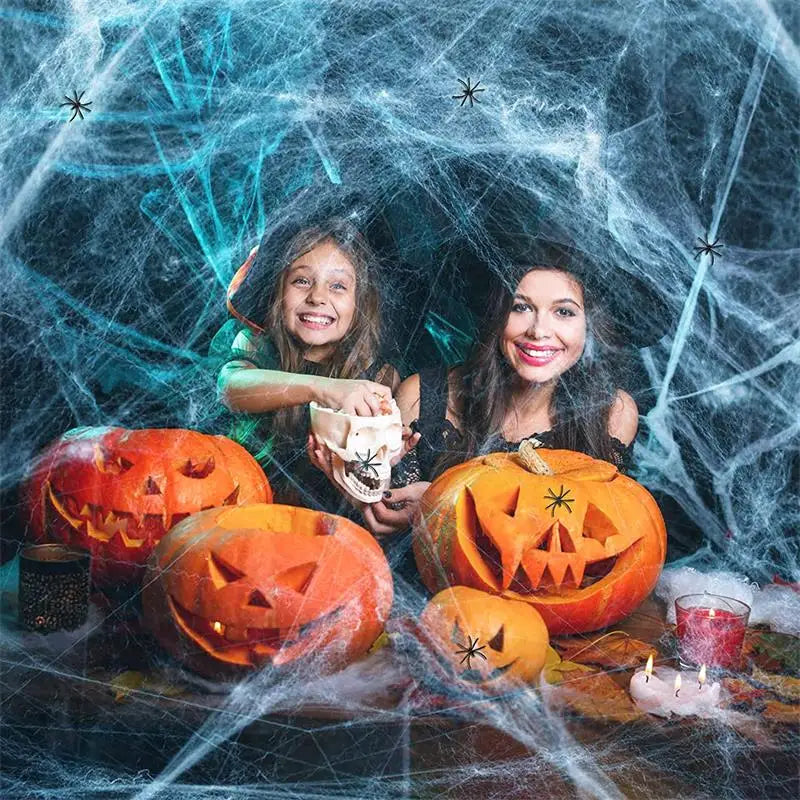 Artificial Halloween Spider Web