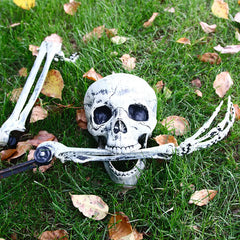 Halloween Skeleton Suit Decoration – Life-Like Plastic Skull Ornaments for Spooky Decor