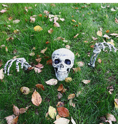 Halloween Skeleton Suit Decoration – Life-Like Plastic Skull Ornaments for Spooky Decor