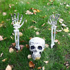 Halloween Skeleton Suit Decoration – Life-Like Plastic Skull Ornaments for Spooky Decor