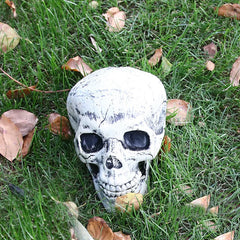 Halloween Skeleton Suit Decoration – Life-Like Plastic Skull Ornaments for Spooky Decor