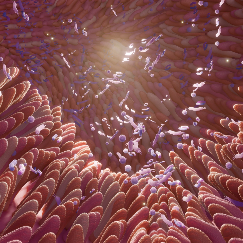 Microbiome