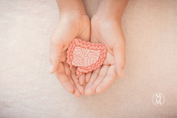hands holding gut to represent  it as the center of health